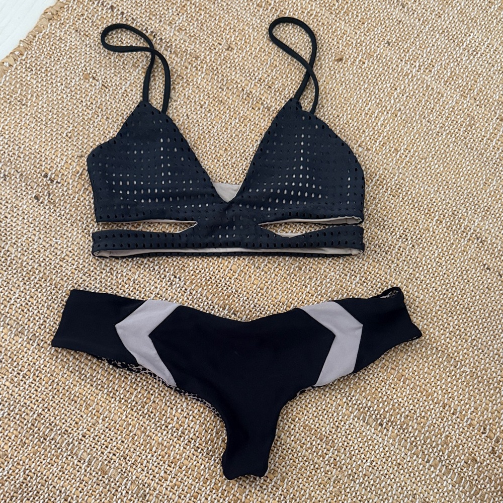 Acacia bikini